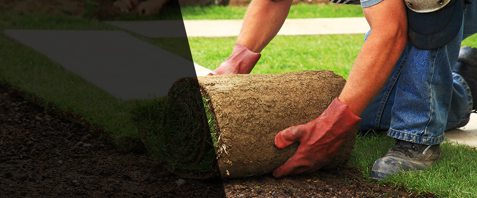 Dowagiac Landscapers